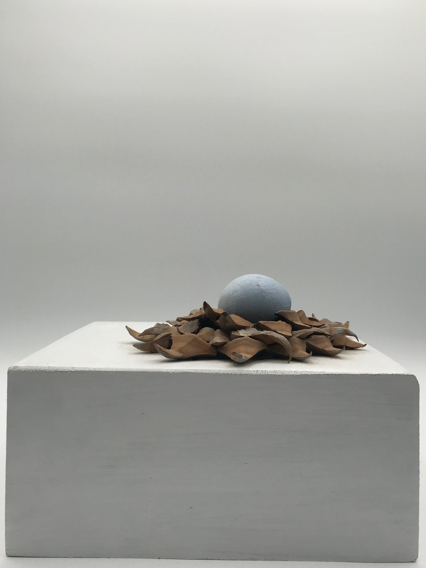Wooden Nest "Bed of Nails"