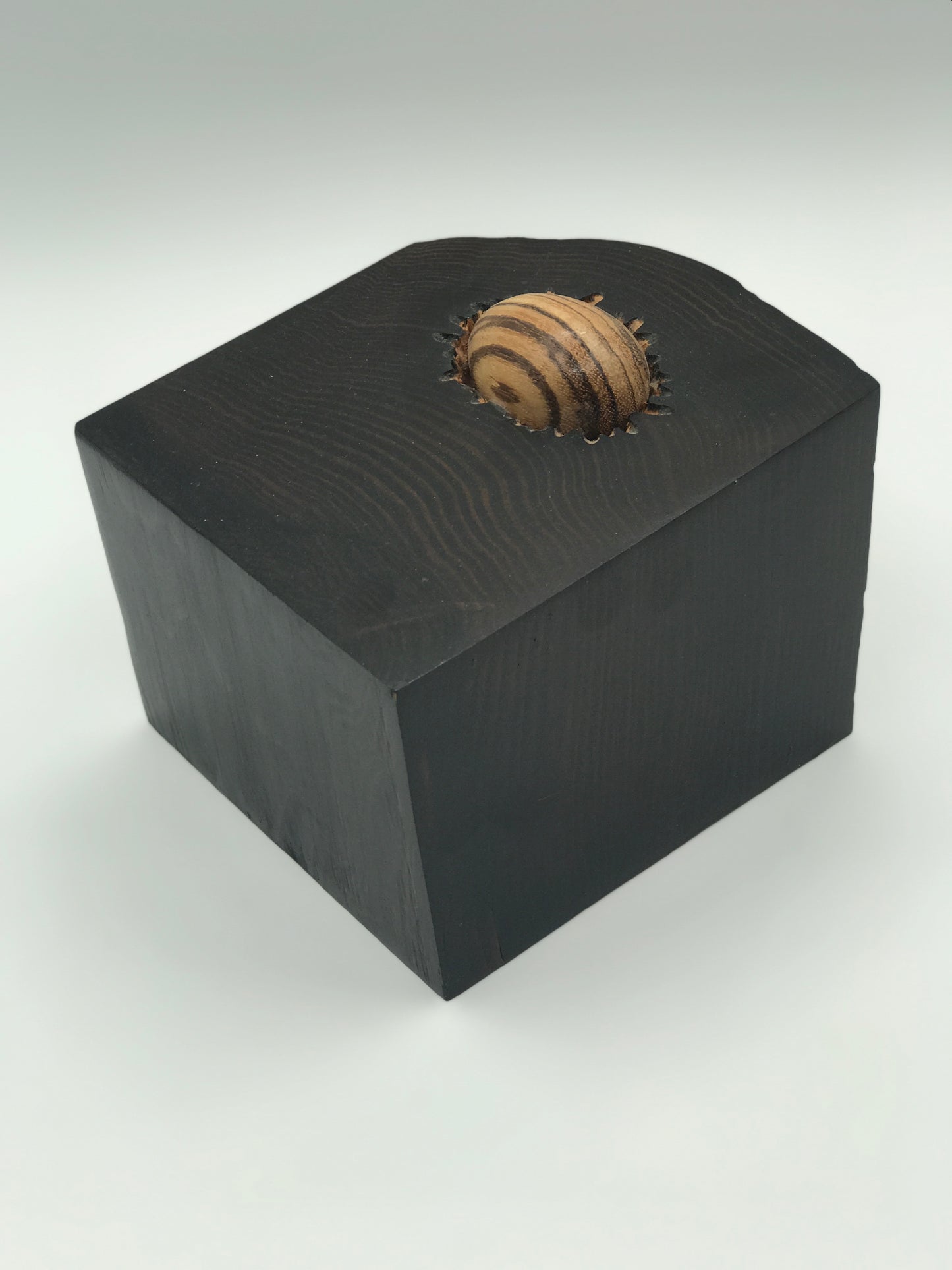 Wooden Nest - Live Edge Nest with Tigerwood Egg